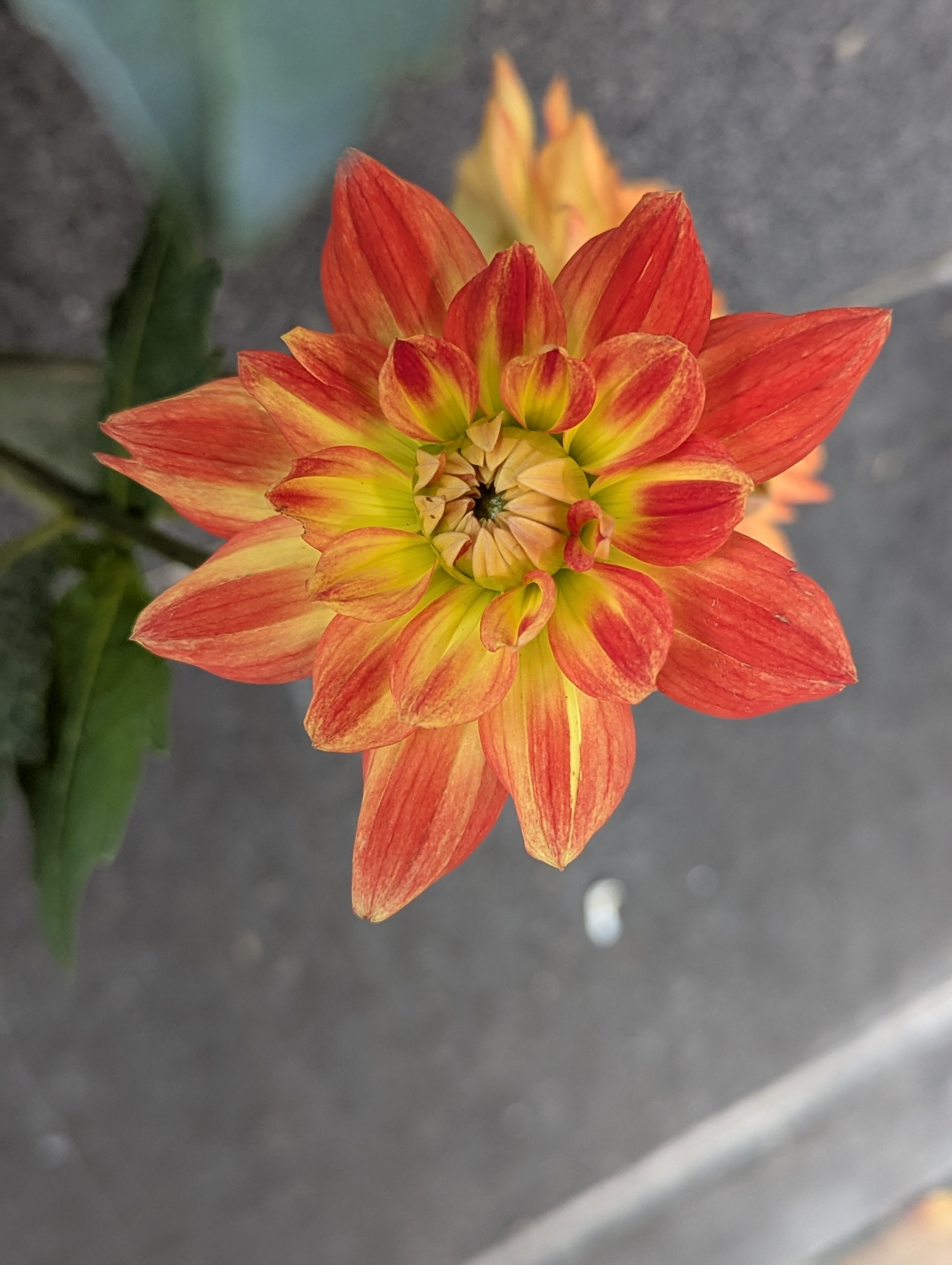 Copenhagen, SSPC, Tivoli, Denmark